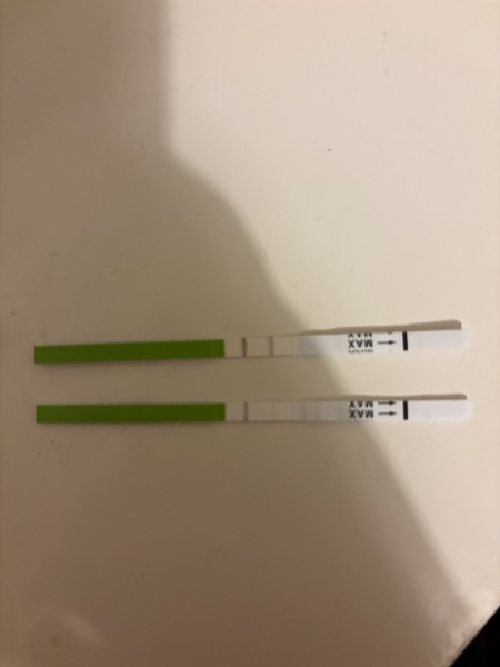 First time using OPKs have I missed my peak?