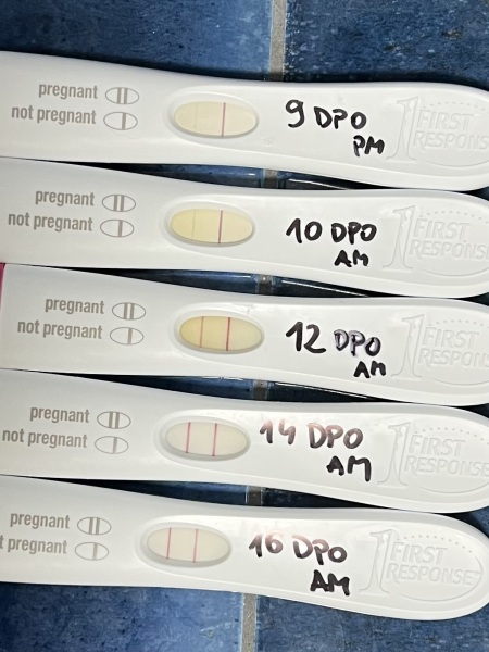 12dpo is there a line