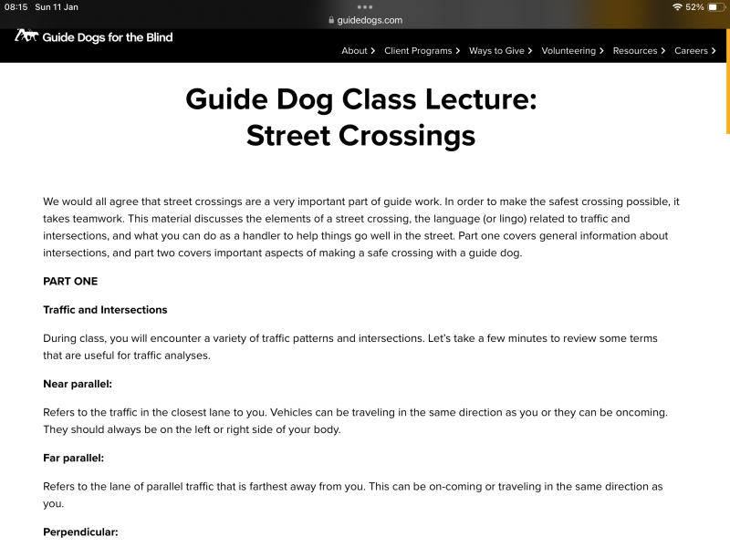 How are guide dogs taught road safety?