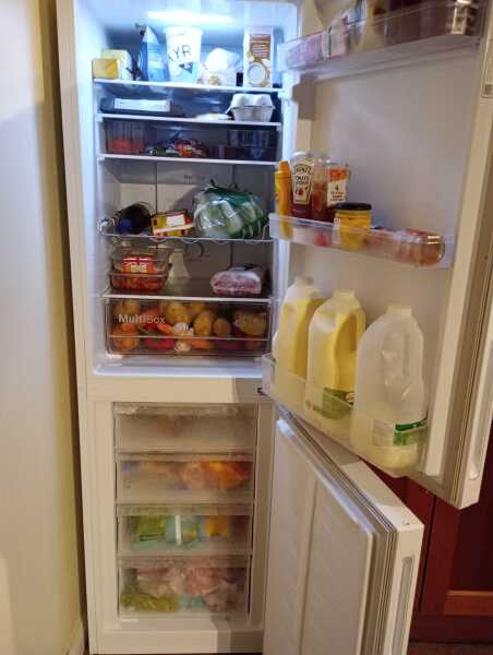 Has anyone got a Bosch Series 2 fridge / freezer