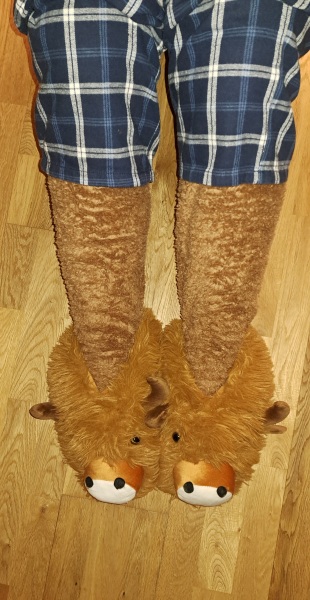 The Bluestocking, where the cheese is plentiful and the Champagne is on Boiledbeetle