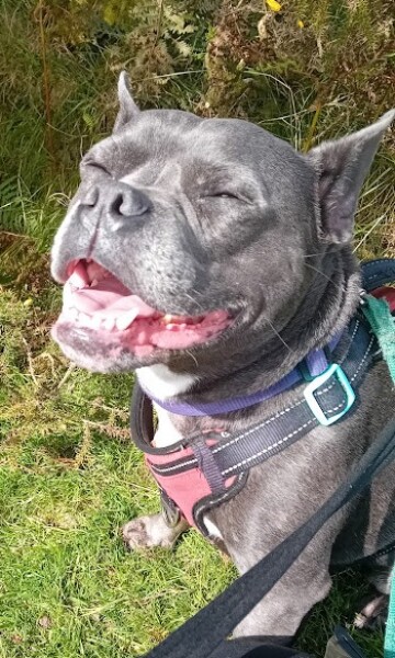 The Continuing Support Thread for Anyone Trying to Lead an Alcohol-Free Life Spring 2026