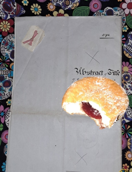 The Bluestocking - your local women's pub, warm, friendly, and not at all unusual in any way.