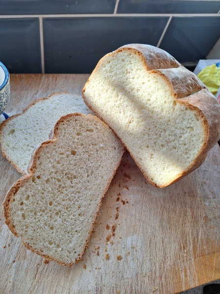 Artisan Loaf Help!