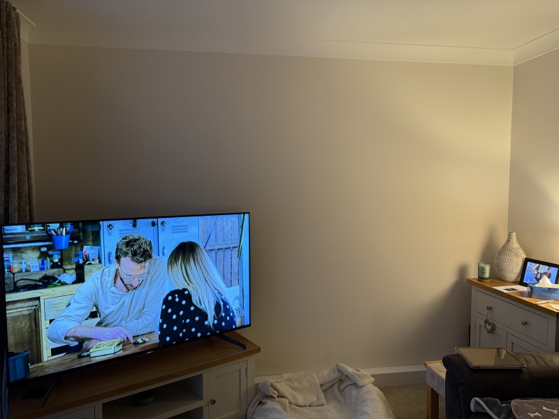 Would oak acoustic slats work on this boring wall?