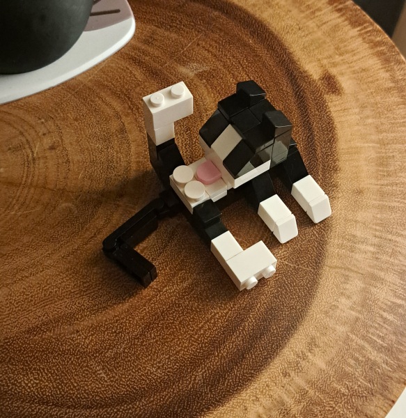 The Bluestocking Boxing Day sale: 1 gerbil for the price of 2