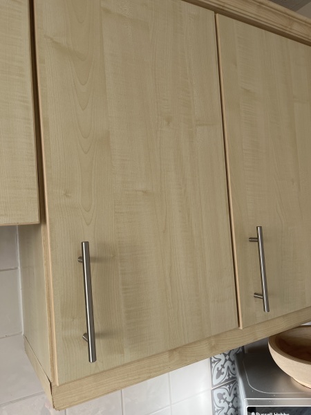 Can I paint these kitchen doors?
