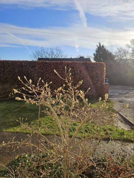 The Nigel Slater Christmas Chronicles Readalong 2025 - Part 3