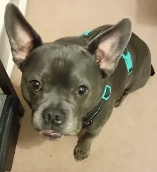 The Continuing Support Thread for Anyone Trying to Lead an Alcohol-Free Life Spring 2026