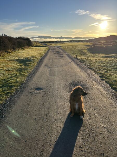 The Continuing Support Thread for Anyone Trying to Lead an Alcohol-Free Life Spring 2026