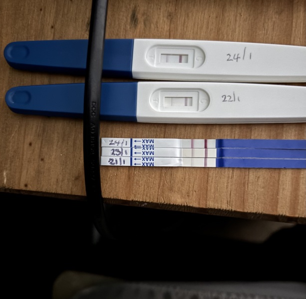 Does progression lines look ok? One step, morrisons, clear blue