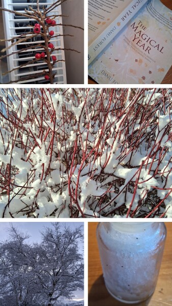 Any Witches Here? Part 21