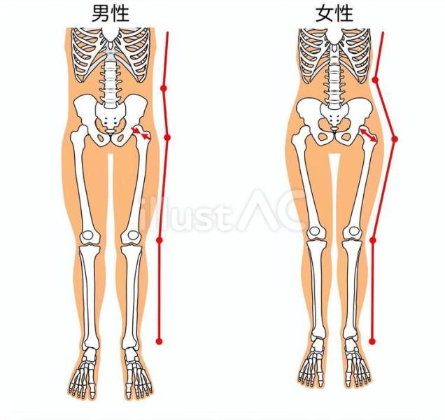 Tall female Model kicked out of bathroom for being Trans