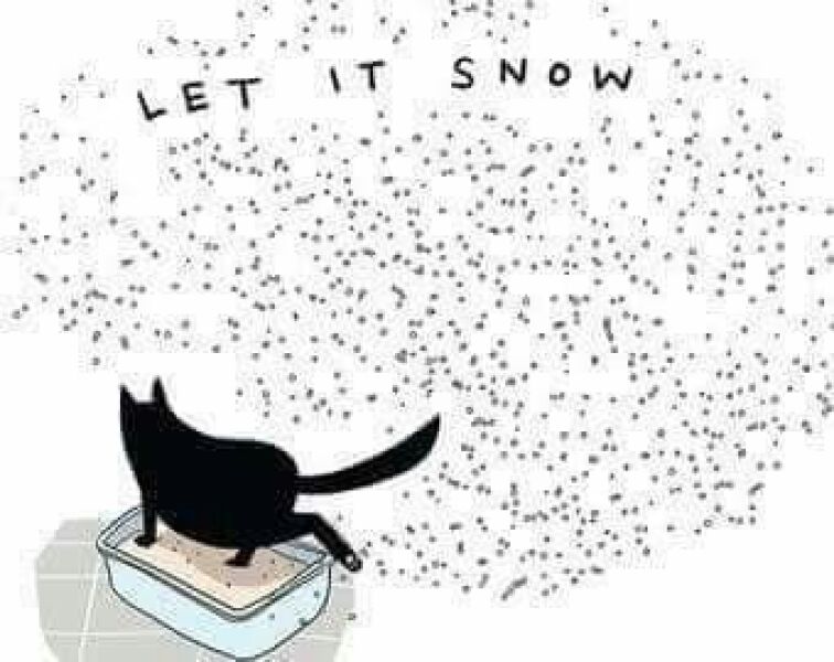 high sided litter trays