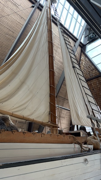 Daily Project round 8