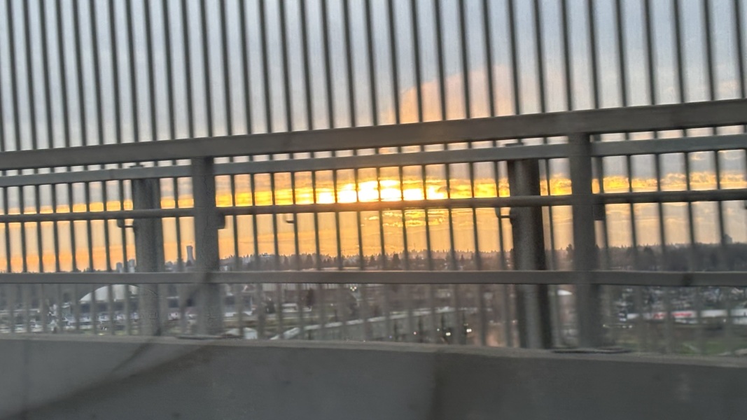 Come and tell us your dull and unexciting news 34: Calmly through the day