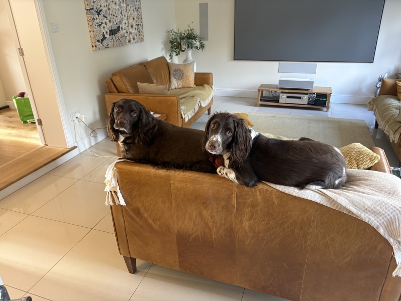 The Bluestocking Women’s Pub: definitely full of ludicrous halfwits who refuse to get a grip (with unionised gerbils)