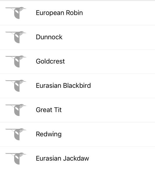 Merlin App Appreciation plus General Birding Chat