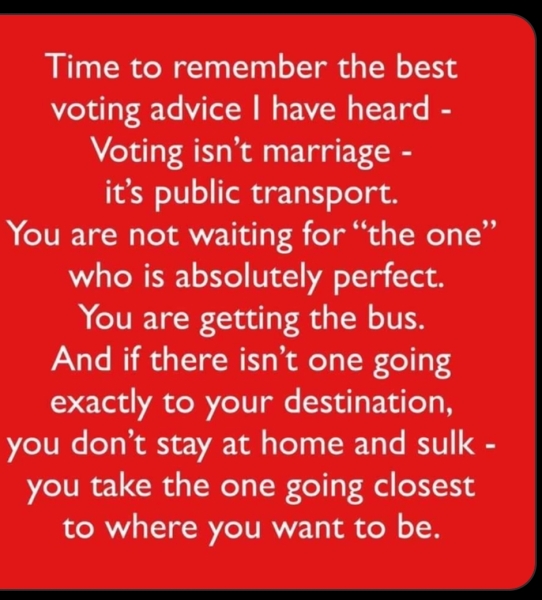 Can you sum up in one sentence why you vote the way you do?