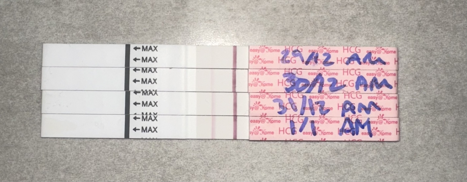13DPO Line Progression