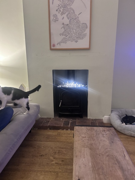 I'm looking for an excuse for not taking down my fairy lights and twigs