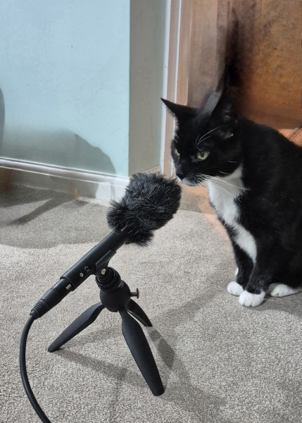 Are your cats training for any careers?