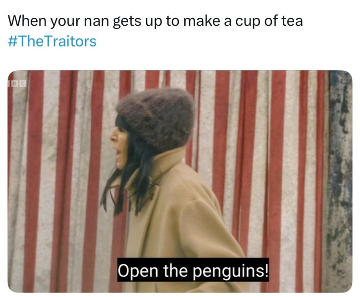 DH’s penguin obsession