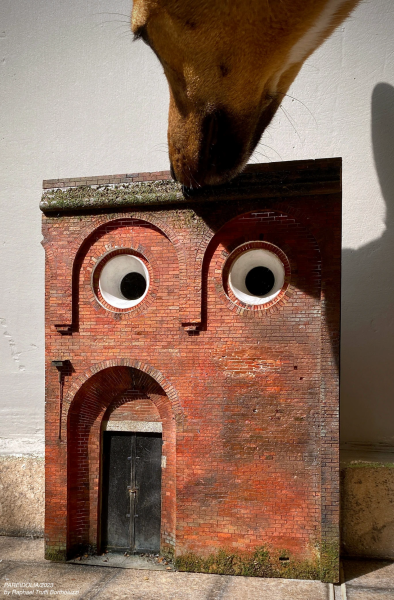 The Bluestocking - your local women's pub, warm, friendly, and not at all unusual in any way.