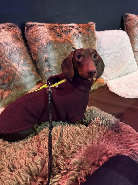 The Nigel Slater Christmas Chronicles Readalong 2025 - Part 3