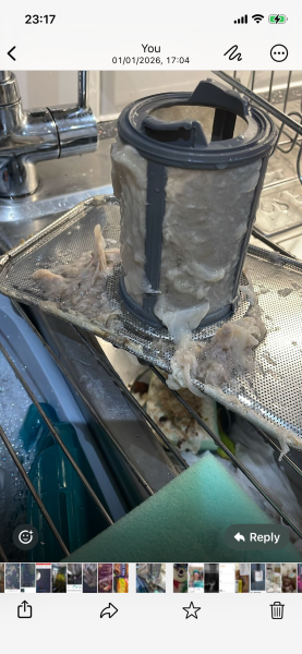 To never have cleaned my dishwasher