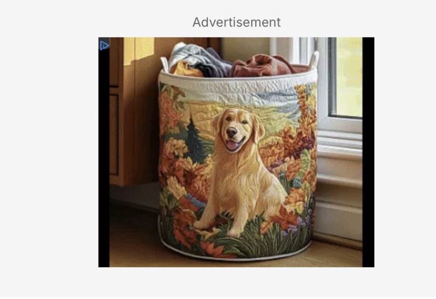 Anyone bought these?
