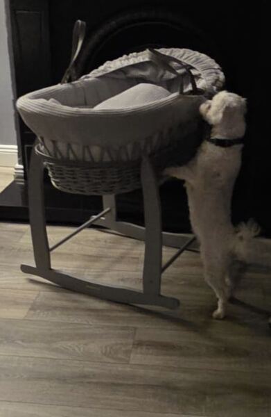 Due January 2026 - Thread 4