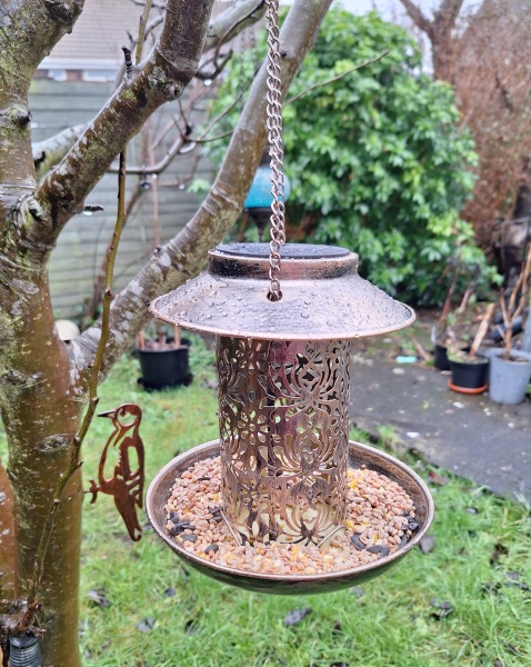 RSPB Big Garden Birdwatch 2026