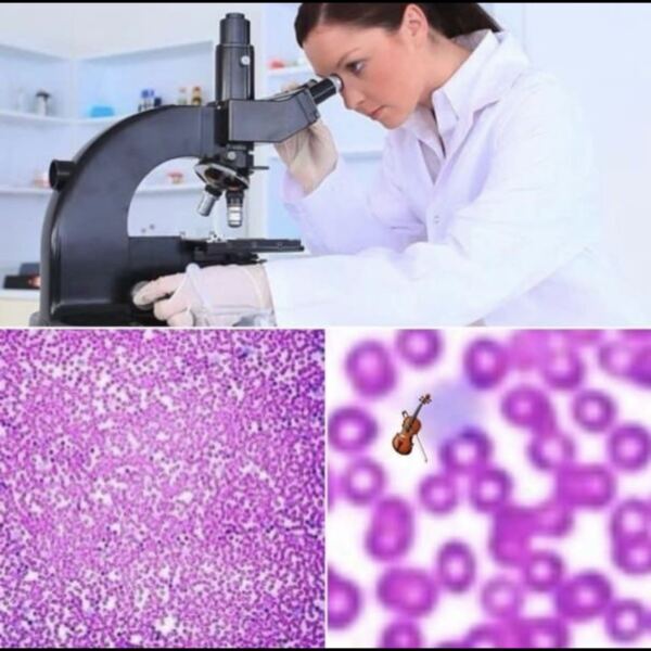 Stonewall is in financial difficulty