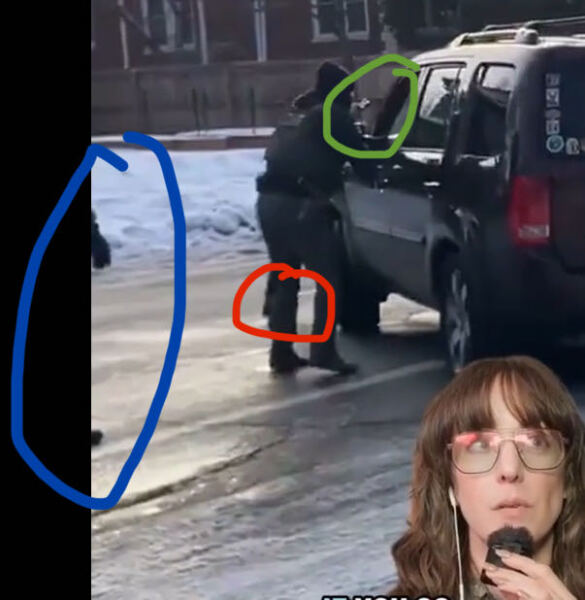 ICE agent shoots woman in the face.