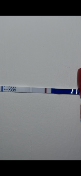 8dpo am I seeing something?