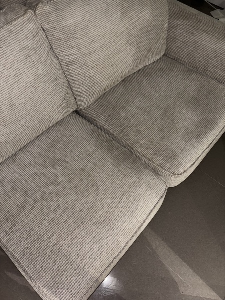 Steam cleaning sofa help