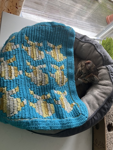 The Bluestocking Women’s Pub: definitely full of ludicrous halfwits who refuse to get a grip (with unionised gerbils)