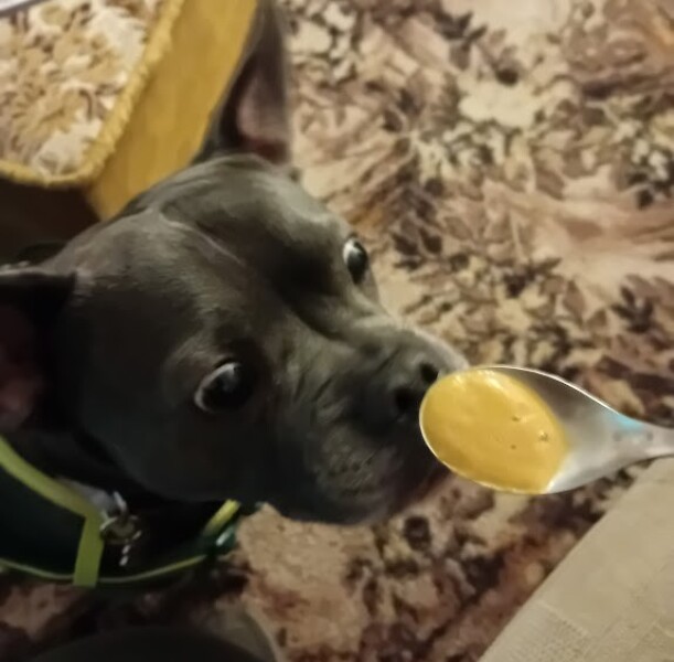 The Continuing Support Thread for Anyone Trying to Lead an Alcohol-Free Life Spring 2026