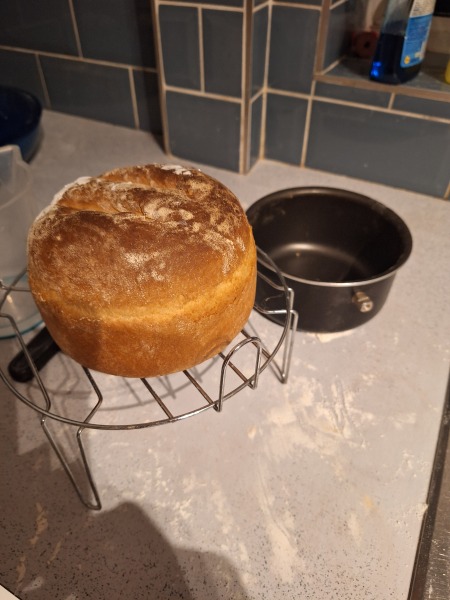 Artisan Loaf Help!