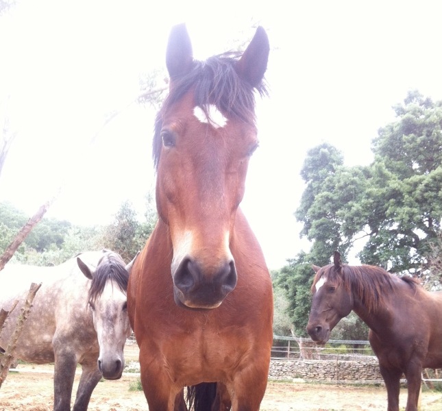 Dry Jan 2026- anyone care to join in?