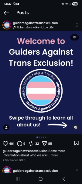 To wonder what the future of Girlguiding is.