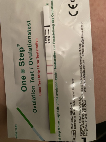 TWW feels like forever