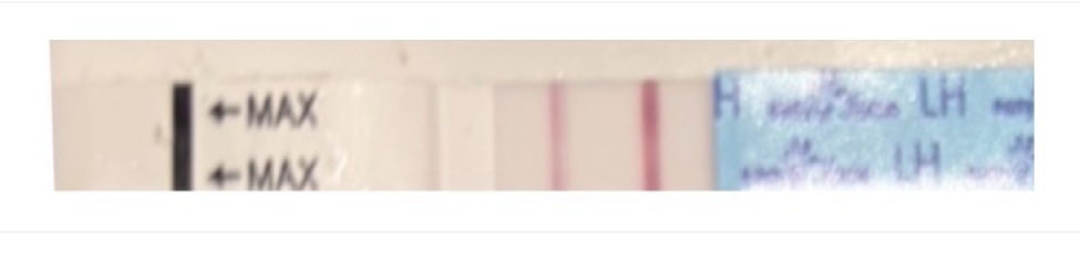 12 DPO ovulation test help !