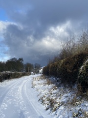 The Nigel Slater Christmas Chronicles Readalong 2025 - Part 3
