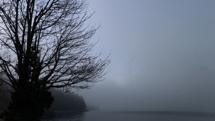 Come and tell us your dull and unexciting news 35: Calmly through the day