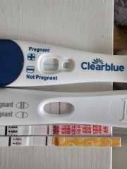 Due September 2026 🐣💖🙏🤞