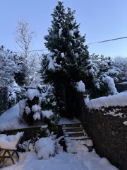 Have you got snow..where are you.. how cold is it?