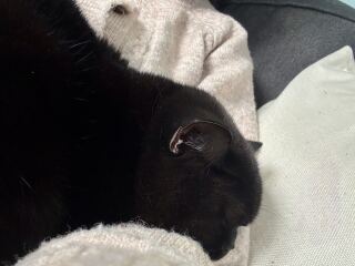 What are you up to today if you have a chronic illness? Thread 5