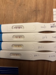 Does progression lines look ok? One step, morrisons, clear blue